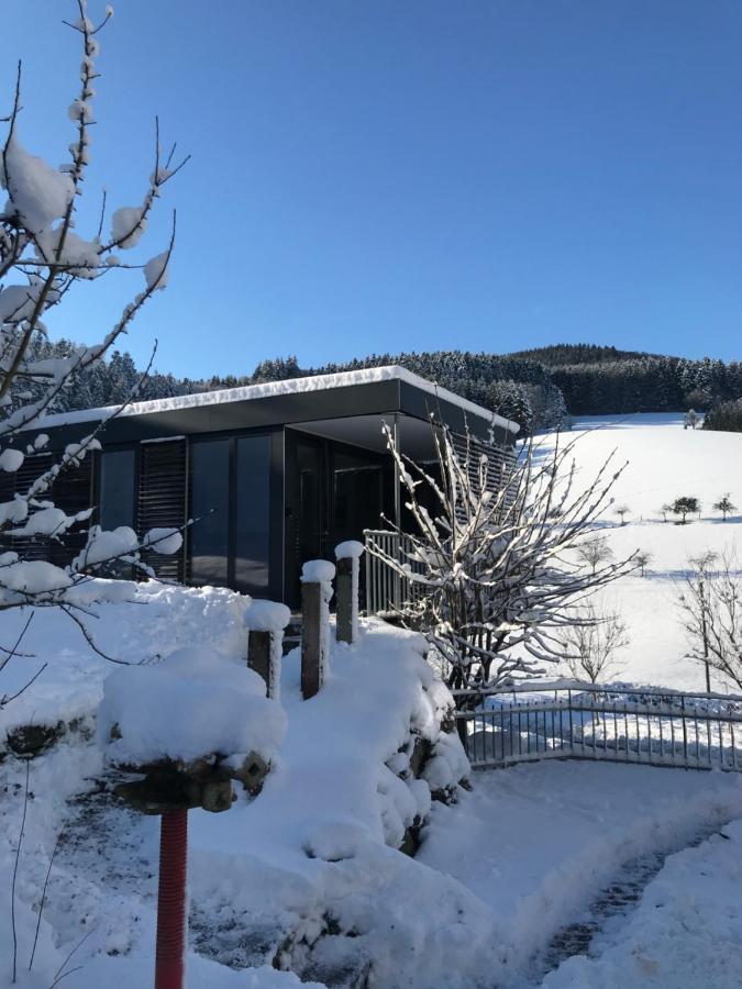S-Suite Das Design-Ferienhaus Im Schwarzwald Biberach  Exterior photo